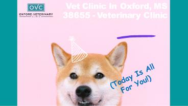Vet Clinics in Oxford MS