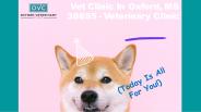 Vet Clinics in Oxford MS