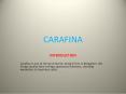 Interior Designers in Bangalore | Best Interior Designer | Carafina PowerPoint PPT Presentation