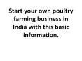 Start your own poultry farming business in India with this basic information PowerPoint PPT Presentation
