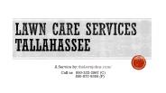 Lawn Care Service Tallahassee