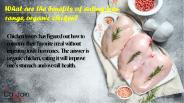 Organic chicken in Surrey (10)