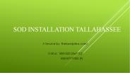 Lawn Care Service Tallahassee (1)