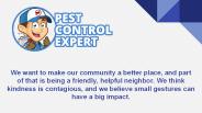Pest Control Professional - Pest Control Expert