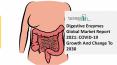 Digestive Enzymes Market (Impact Of Covid-19) Industry Overview And Forecast 2030 PowerPoint PPT Presentation