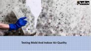 Testing Mold And Indoor Air Quality