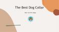 The Best Dog Collar PowerPoint PPT Presentation