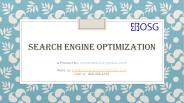 SEO Service Provider (1)