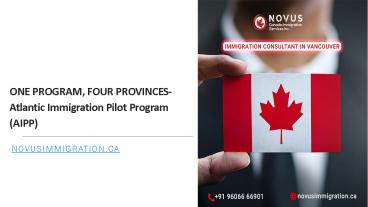 Canada immigration consultants Novusimmigration ca