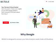 Business Intelligence And Analytics Platforms - Beagle (1)