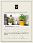 5 Smart Ways to Water Your Indoor Plant while you’re Away PowerPoint PPT Presentation