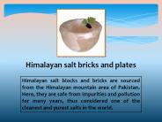 Himalayan salt bricks and plates