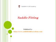 Saddle Fitting