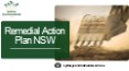 Remedial Action Plan NSW PowerPoint PPT Presentation