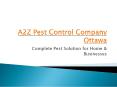 Pest Control Treatment & Exterminator in Ottawa PowerPoint PPT Presentation