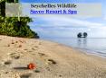 Seychelles Wildlife - Savoy Resort & Spa PowerPoint PPT Presentation