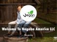 Information Presentation Of Nagaba America LLC PowerPoint PPT Presentation