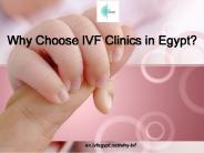 Why Choose IVF Clinics in Egypt?