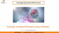 Castrate-resistant Prostate Cancer Market Size Worth $14.5 billion by 2026 PowerPoint PPT Presentation