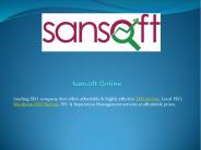 Wordpress SEO Service