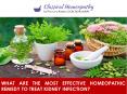 What are the Most Effective Homeopathic Remedy to Treat Kidney Infection? PowerPoint PPT Presentation