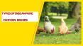 TYPES OF POULTRY PURE BREEDS IN INDIA | EGIYOK NEWS PowerPoint PPT Presentation