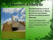 Aquariums Albany Ga
