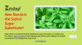 Zindagi - How Stevia is the Safest Sugar Substitute? PowerPoint PPT Presentation