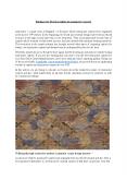 Axminster carpet manufacturers india