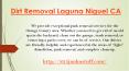Dirt Removal Laguna Niguel CA PowerPoint PPT Presentation