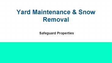 Yard Maintenance & Snow Removal