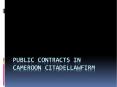 public contracts in Cameroon PowerPoint PPT Presentation