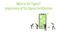 What is Six Sigma? Importance of Six Sigma Certification PowerPoint PPT Presentation