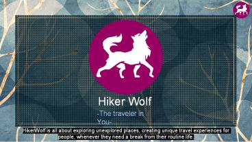 Leh Ladakh Trip Adventure With Camping