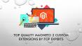 Top Quality Magneto 2 Custom Extensions By Top Experts