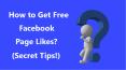 How to Get More Facebook Page Likes? (1) PowerPoint PPT Presentation