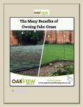 The Many Benefits of Owning Fake Grass PowerPoint PPT Presentation