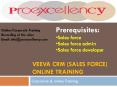 Proexcellency   provides  Veeva CRM  online  training. PowerPoint PPT Presentation
