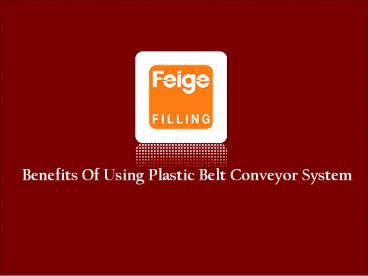 Plastic Belt Conveyor Systems