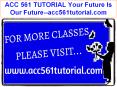 ACC 561 TUTORIAL Your Future Is Our Future--acc561tutorial.com PowerPoint PPT Presentation