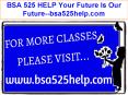 BSA 525 HELP Your Future Is Our Future--bsa525help.com PowerPoint PPT Presentation