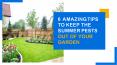 Tips To Keep Summer Pests Out Of Your Garden PowerPoint PPT Presentation