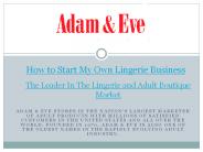How to Start My Own Lingerie Business (1)