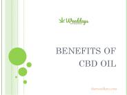Benefits of CBD Oil
