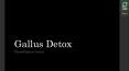gallus detox PowerPoint PPT Presentation