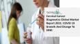 Cervical Cancer Diagnostics Market Report Overview, Industry Top Manufacturers, Size, Growth 2021 – 2030 PowerPoint PPT Presentation