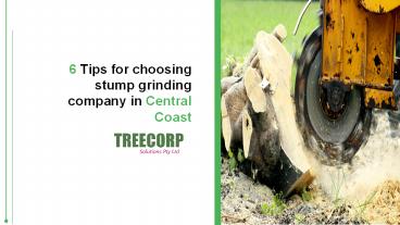 presentation player overlay