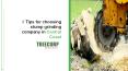6 Tips for Choosing Stump Grinding Company in Central Coast PowerPoint PPT Presentation