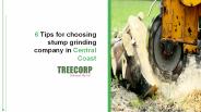6 Tips for Choosing Stump Grinding Company in Central Coast