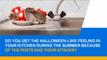 Tips To Keep Summer Pests Out Of Your Garden (1)